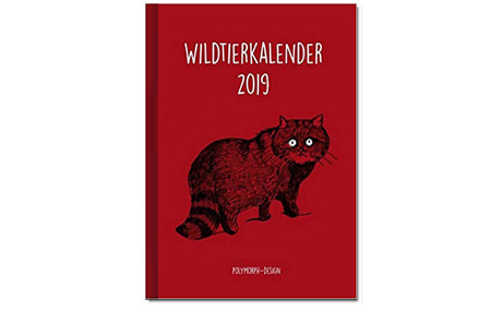 Grafik-Design Buchcover in Regensburg & Kallmünz