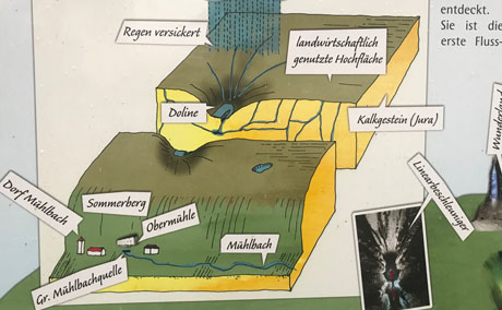Illustration, Natur & UMweltbildung